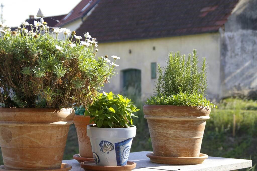 Ferienwohnung Sachsenberg Keine Monteure Hadersdorf am Kamp Exterior foto